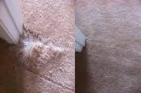 Spotless Carpet Repair Perth image 1